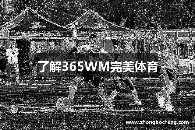 了解BG大游